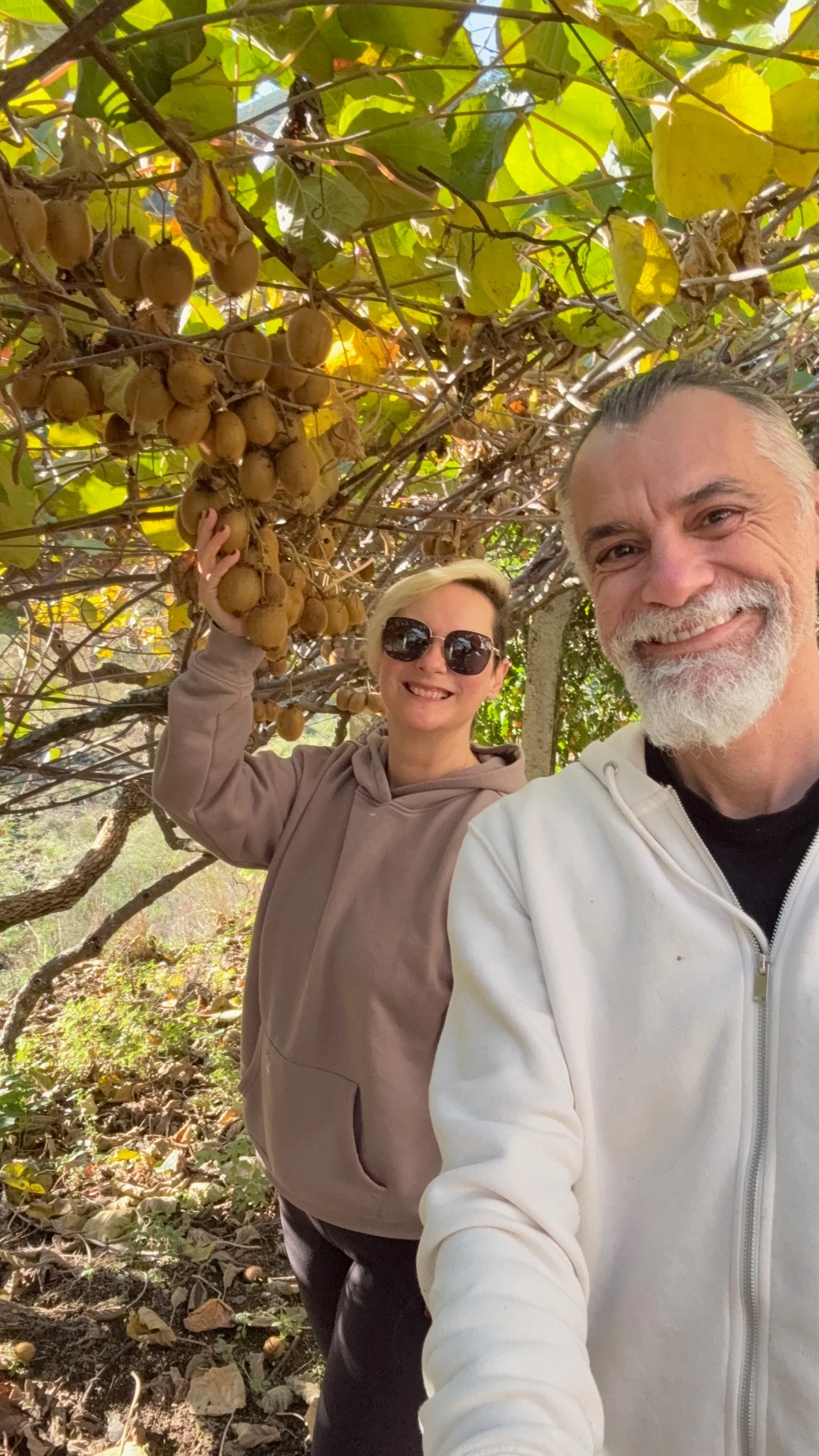 Casal sorrindo sob a sombra das folhas de kiwi.